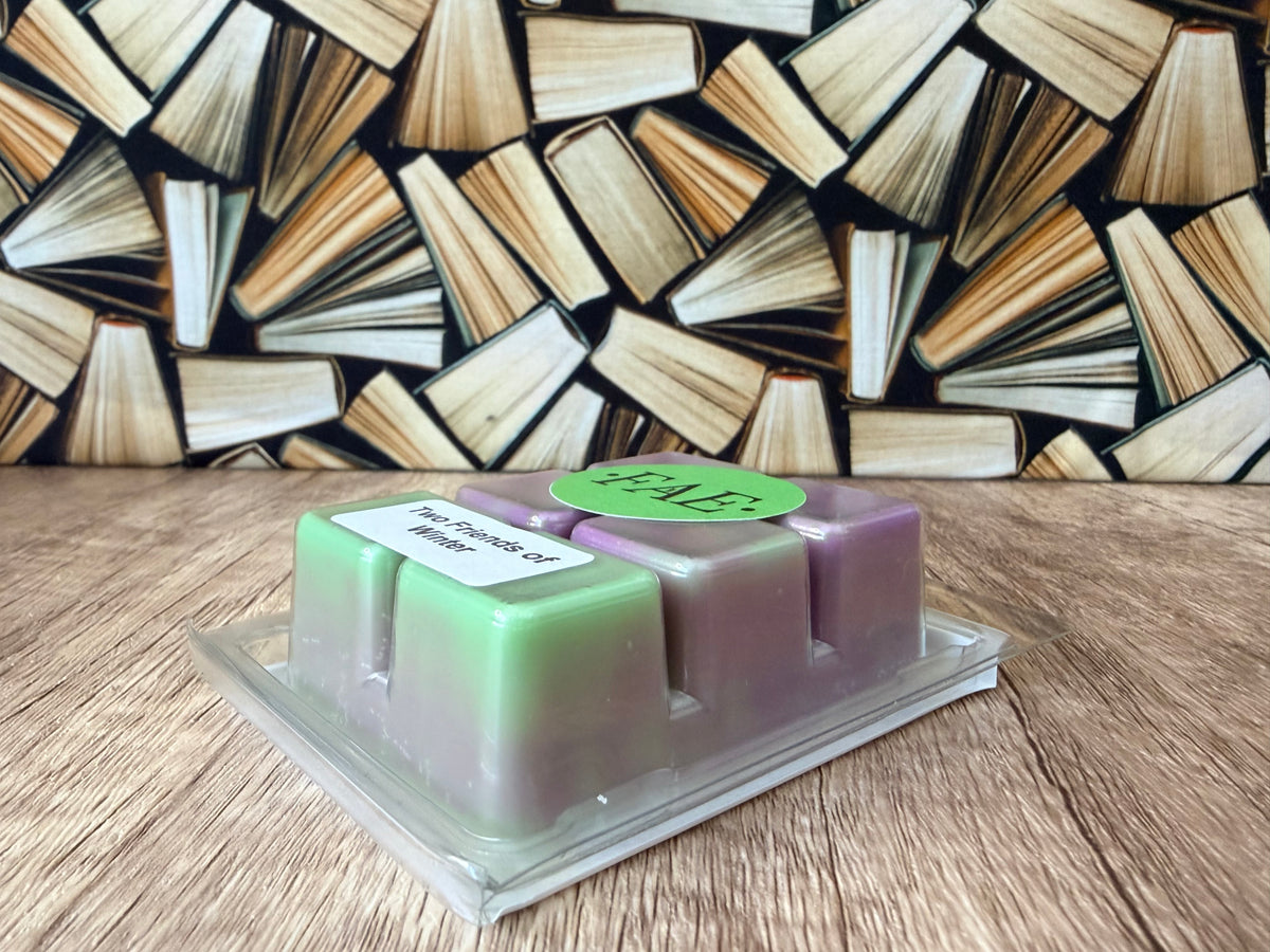 ‘Hardback’ Wax Melt - Two Friends of Winter