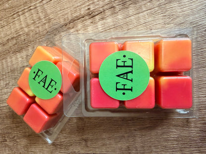 ‘Hardback’ Wax Melt - Hundred Acre Wood